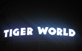 TIGER WORLD 골프연습장 중동IC.jpg